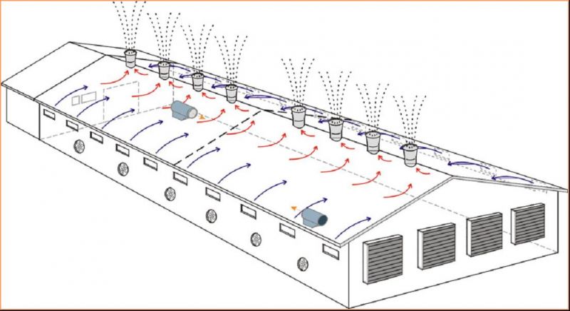 換氣降溫解決方案河源畜牧養(yǎng)殖豬場(chǎng)